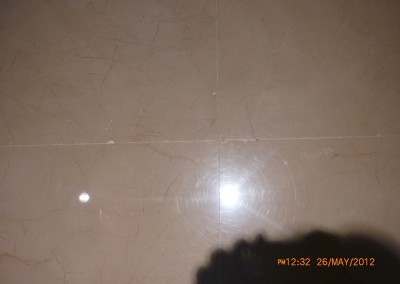 P1000137 (Medium)